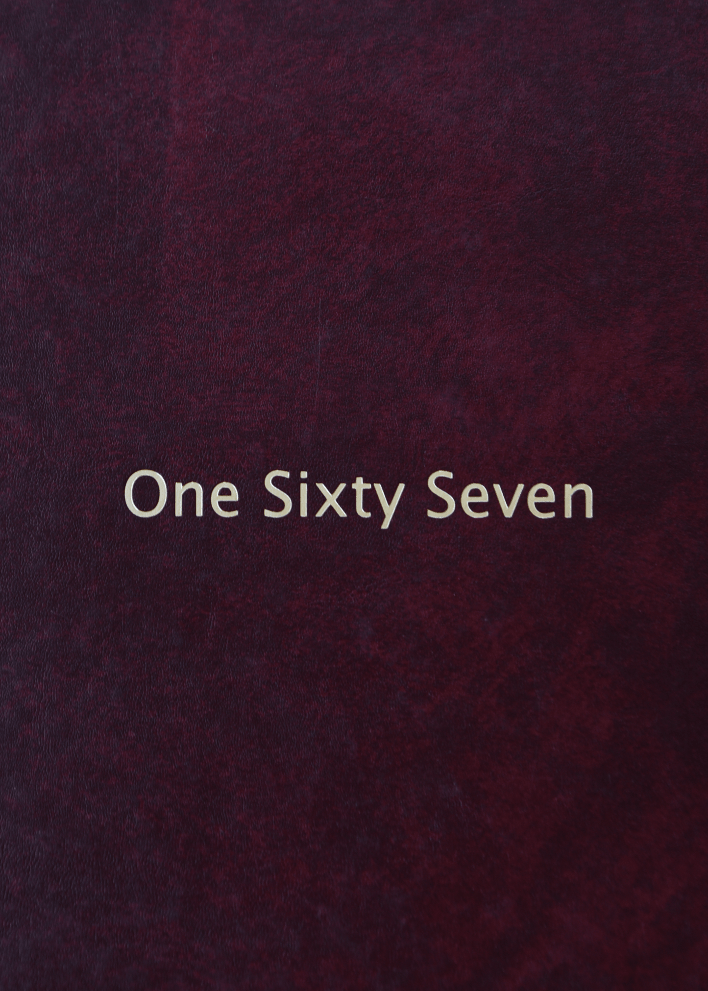 Marine Light Attack Helicopter Squadron 167 (HMLA 167) 2008 Deployment Book - Bluewater Publishing