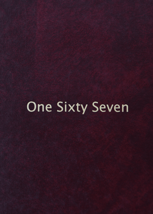 Marine Light Attack Helicopter Squadron 167 (HMLA 167) 2008 Deployment Book - Bluewater Publishing